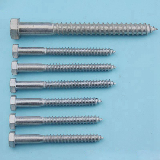 Lag Screw