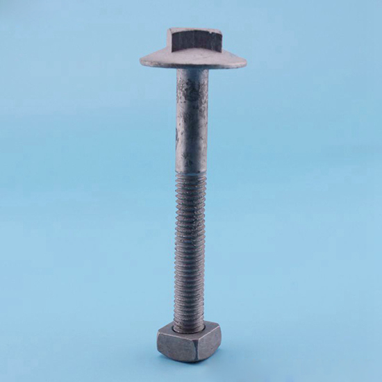 Brace Bolt