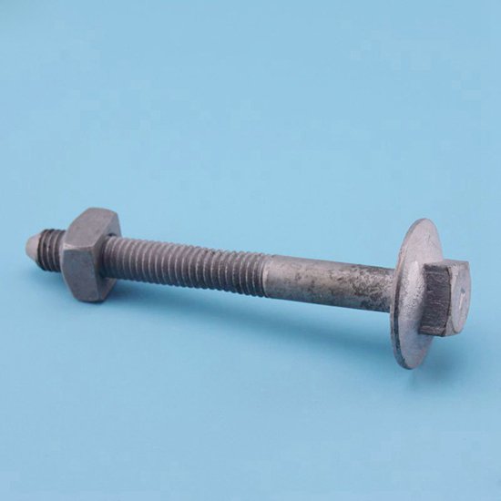 Brace Bolt